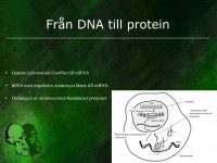 /album/fran-dna-till-protein/evolution-018-jpeg1/