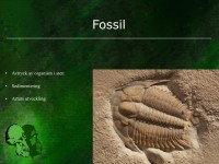 /album/fossil/evolution-028-jpeg1/