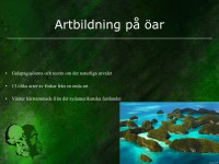 /album/artbildning-pa-oar/evolution-040-jpeg1/