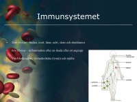 /album/immunsystemet1/immunsystemet-001-jpeg1/